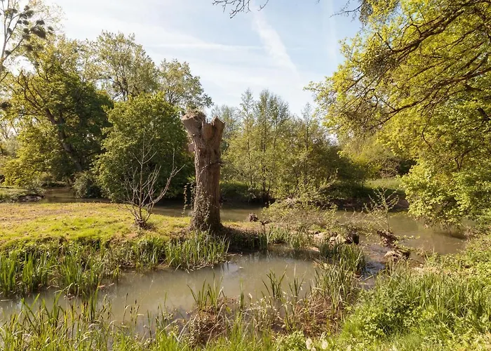 Moulin De Mois By Interhome